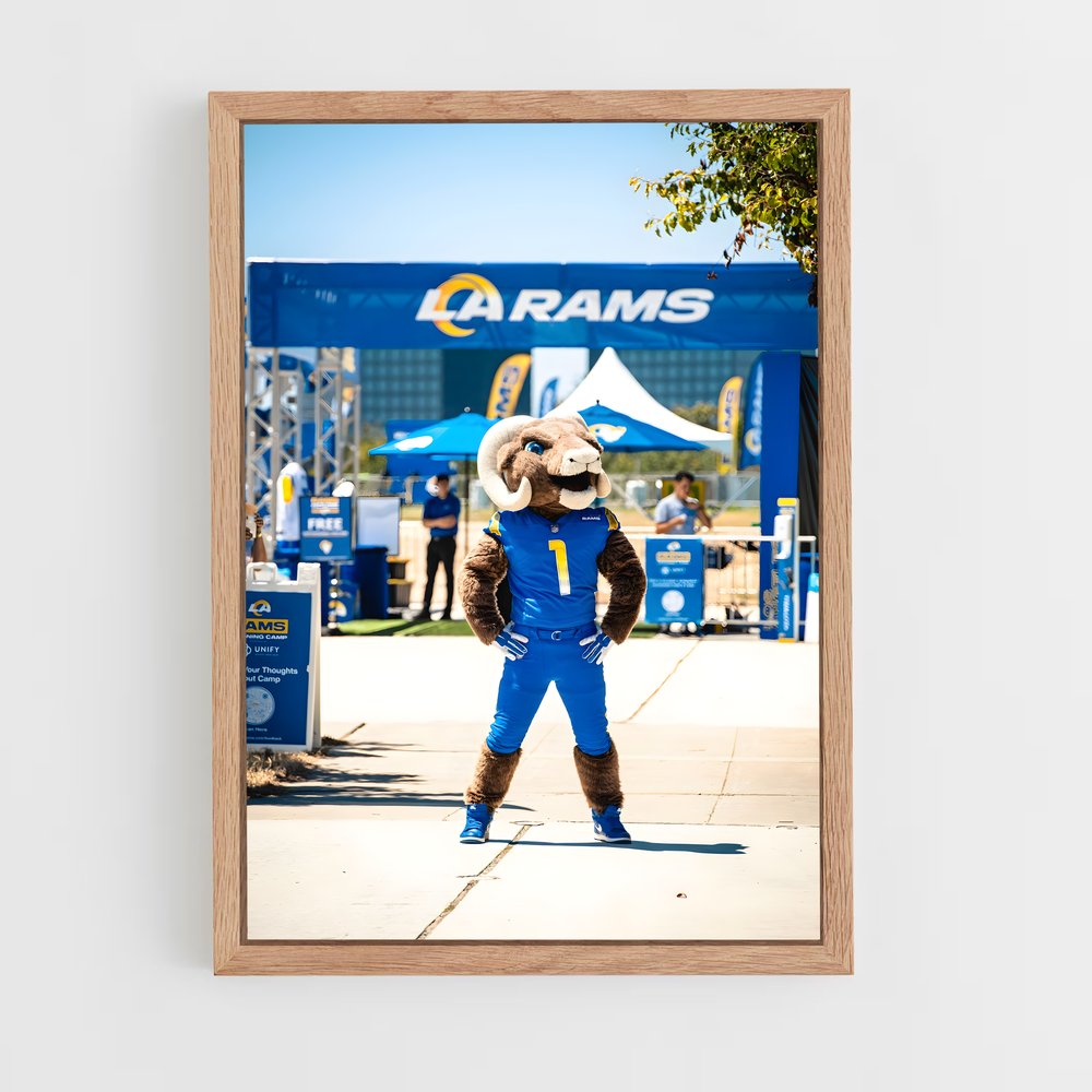 Poster Bear Down LA (vue 4)